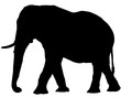 éléphant