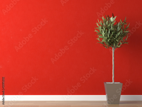 detail of plant on red wall