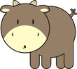 baby bull