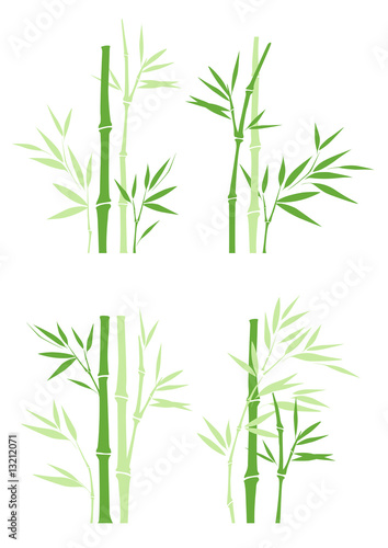 bamboo