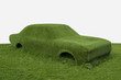 Green grass car