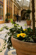 passage couvert