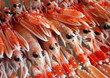Langoustines Fraîches Langoustines Fraîches