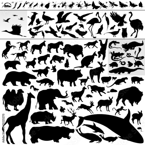 silhouettes of animals. animal silhouettes