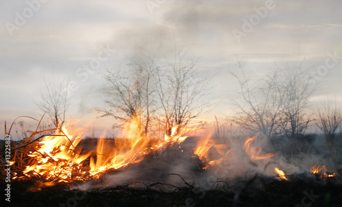 Photo: brightness of fire brightness of fire