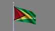 Flag of Guyana with alpha matte for easy isolation
