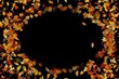Leaf logo - digital animation Leaf logo - digital animation