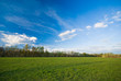 meadow
