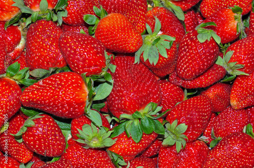 Photo: Garden Strawberry 4 Garden Strawberry 4