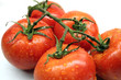 Tomatoes - Salad - Tomates - Tomato - Lettuce Tomatoes - Salad - Tomates - Tomato - Lettuce