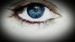 Flug durchs Auge LOOP Flug durchs Auge LOOP