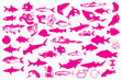 Various kind of fish