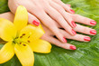 care for sensuality woman hands