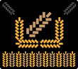 abstract background brown wheat 1