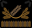 abstract background brown wheat 2
