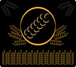 abstract background brown wheat 3