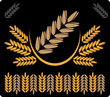 abstract background brown wheat 4