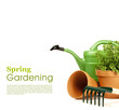 Watering can and garden tools on white
