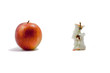 The eaten apple