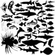 Photo en ligne au meilleur prix 46 pieces of vectoral fish and sea animals silhouettes.