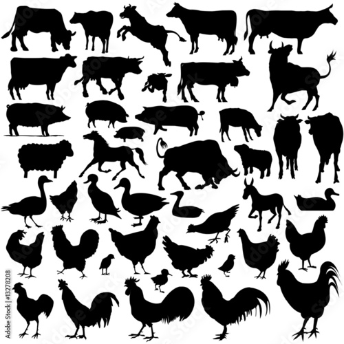 silhouettes of animals. farm animals silhouettes.