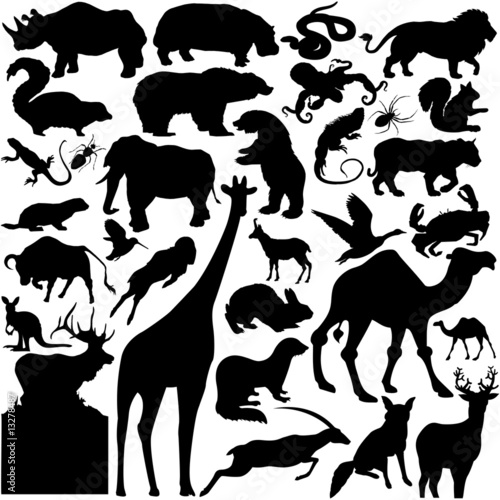 silhouettes of animals. wild animals silhouettes.