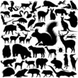 Photo en ligne au meilleur prix 46 pieces of vectoral wild animals silhouettes.