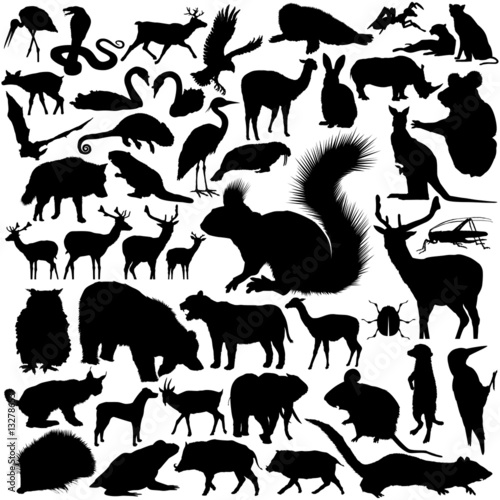 silhouettes of animals. wild animals silhouettes.