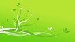 Animation florale fond vert