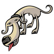 dog dog