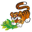 Tiger cub