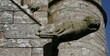 Enclos de plougonven,gargouille,bretagne,finistère,calvaire