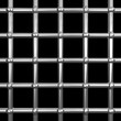 prison net