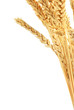 Wheat