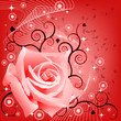 floral background with rose