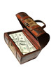 dollars in old chest, isolated on white background