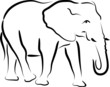 elephant elephant