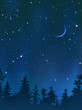 Night Forest