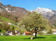 walenstadt