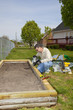 Above ground garden Above ground garden