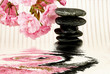 equilibrio mentale