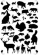 Tiere des Waldes