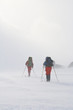 Cross Country Skiing