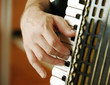 Musician hand playing accordion Musician hand playing accordion