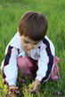 Girl picking flowers