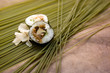Foto: Sushi_Maki Sushi_Maki