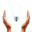 Light bulb in hands isolated