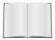 Blank open book