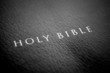 Holy Bible