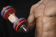 bodybuilding 1 bodybuilding 1